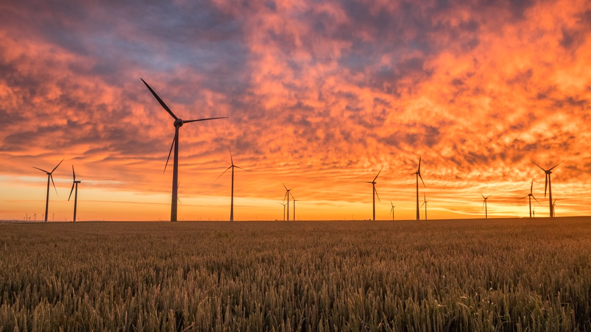 Der unsichtbare Dirigent der Energiewende: Wie KI das deutsche Stromnetz stabil hält